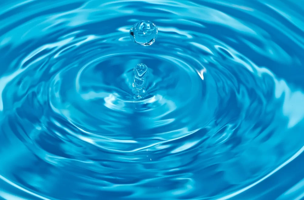 Foraje puturi Teleorman