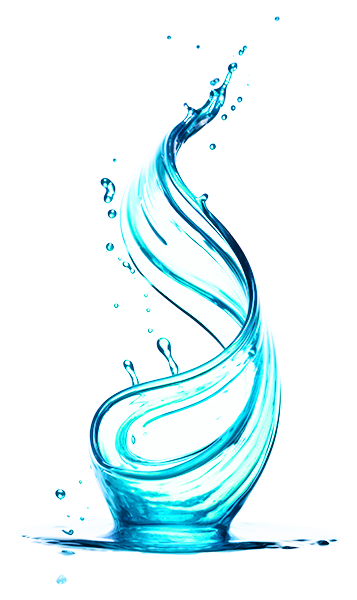 Foraje puturi Calarasi